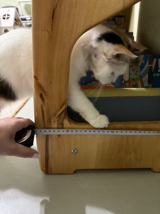 Книжкова полиця дитяча