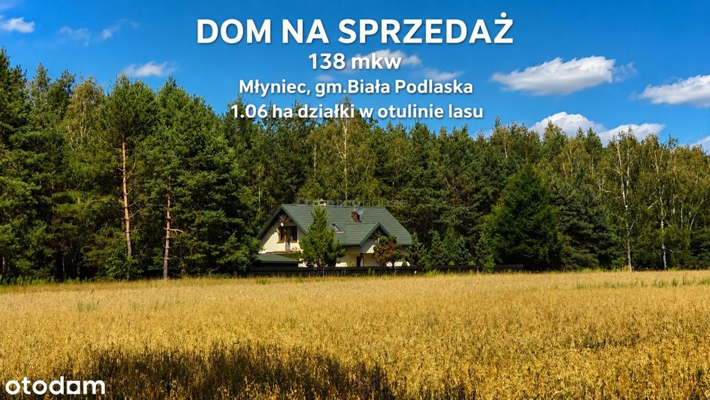 Dom – Młyniec - Widok 3