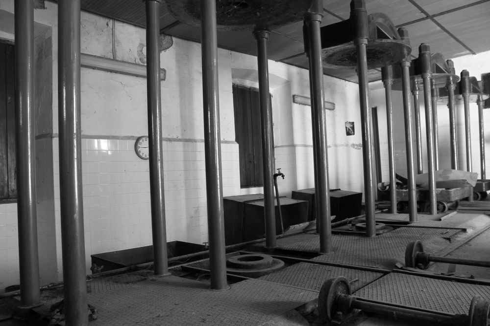 lagar antigo de prensas, capachos e moinhos de pedra