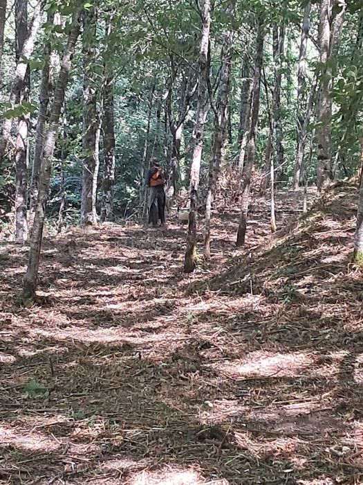 Limpeza de terrenos desmataçao