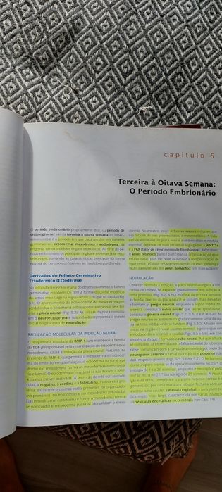 Livro Embriologia Médica