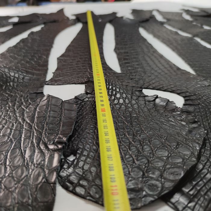 Шкіра  крокодила  600 грн