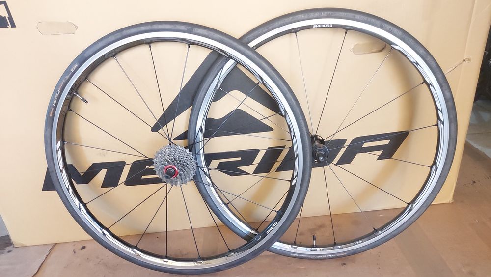 Rodas de carbono Shimano RS81