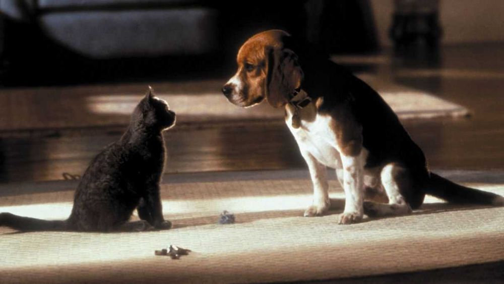COMO CÃES E GATOS (Alec Baldwin/Tobey Maguire) vão ficar eriçados...