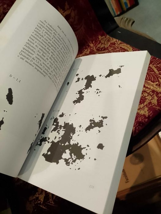 Objectos Fractais - Benoît Mandelbrot