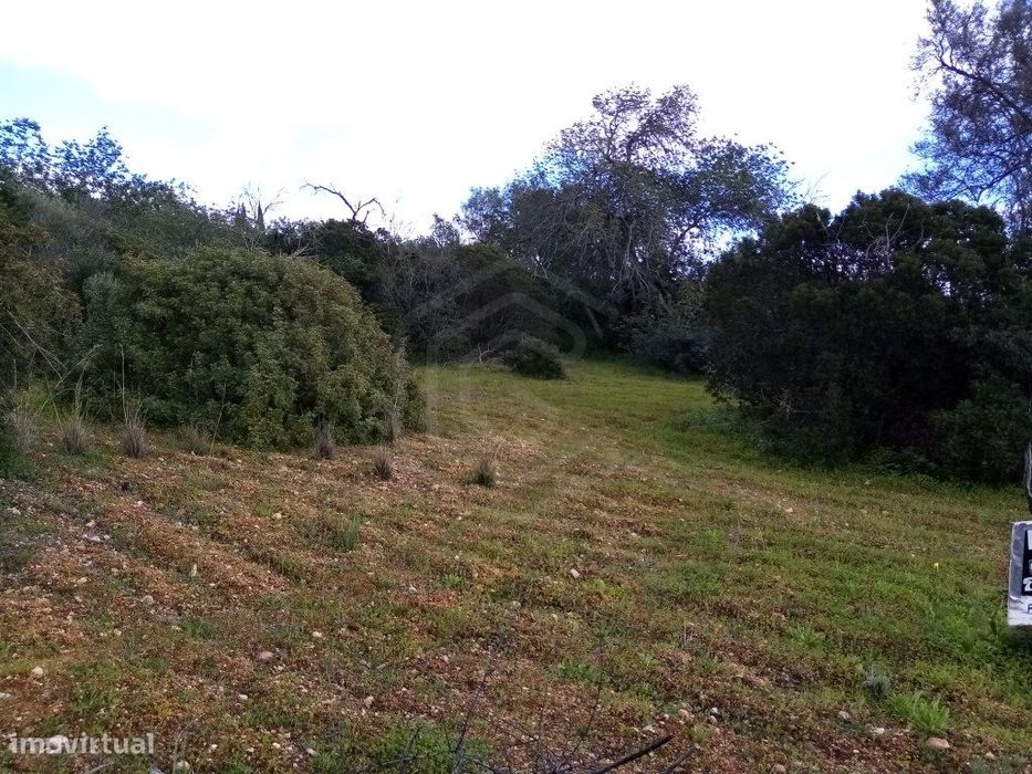 Terreno Rustico com 1394 m2, Loulé, Algarve