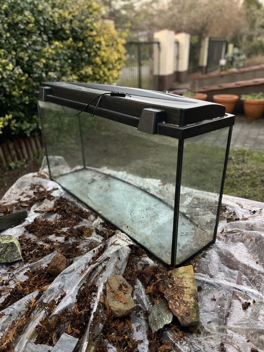 Akwarium profilowane 240 l + gratisy