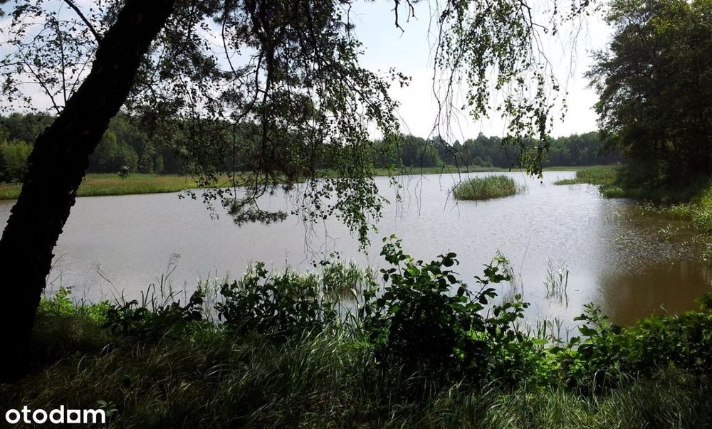 Zdjęcie 7