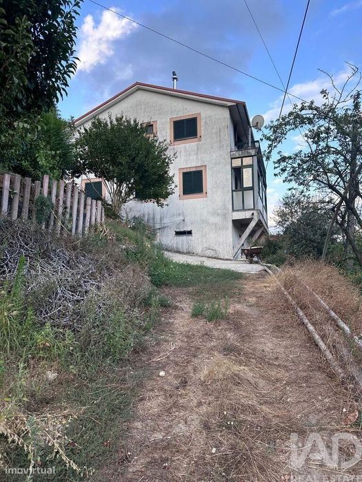 Quinta rural T4 em Valadares de 40000 m2