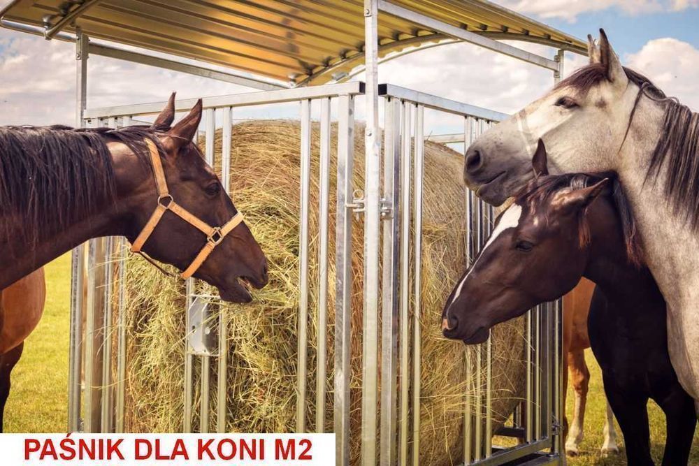 Paśnik dla koni bydła krów opasów alpak