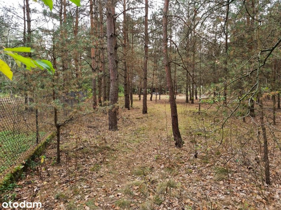 Atrakcyjne działki budowlana przy linii lasu – Dobiesz, 1400m²/2583m² - Widok 5