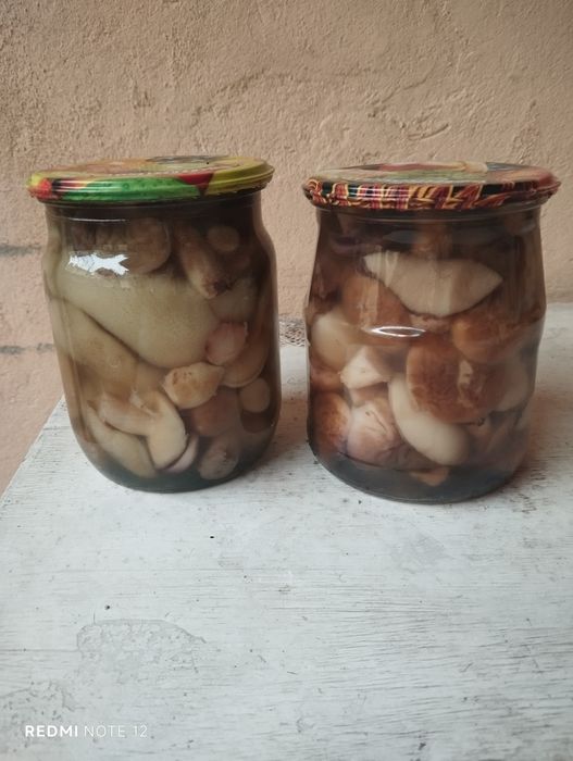 Маслята  маринованые , соленые
