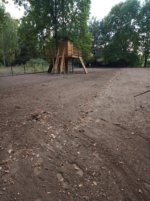 Czyszczenie działek , wycinka drzew,frezarka do pni
