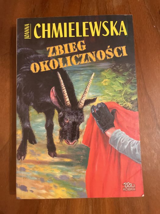 Zbieg okoliczności