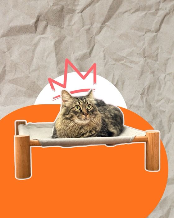 Лежанка для тварин xoma cat