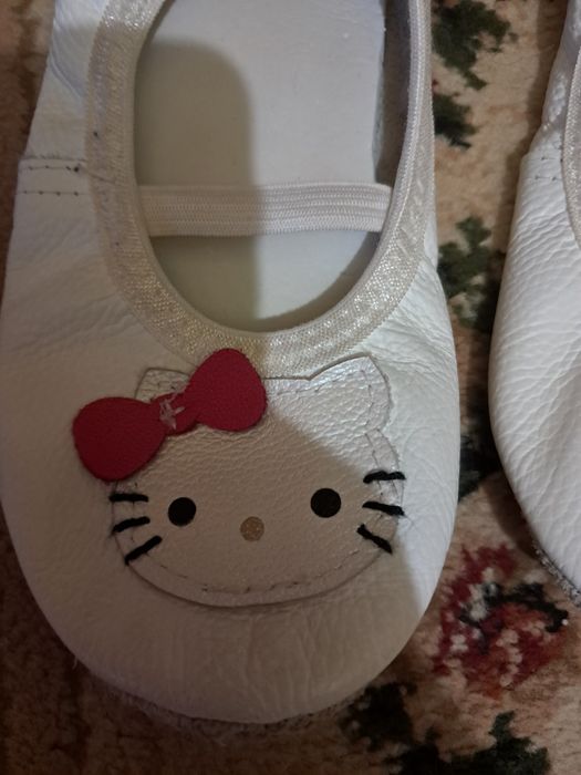 Чешки         .   .