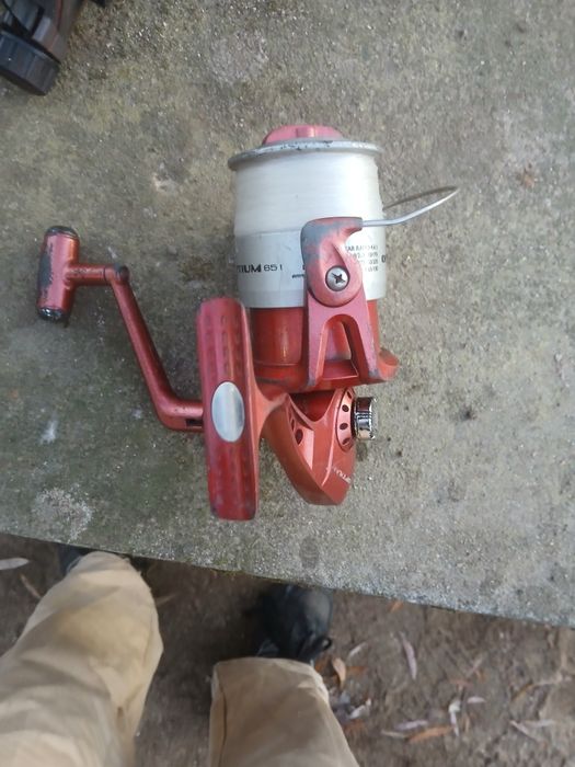 Carrinhos de pesca em bom estar