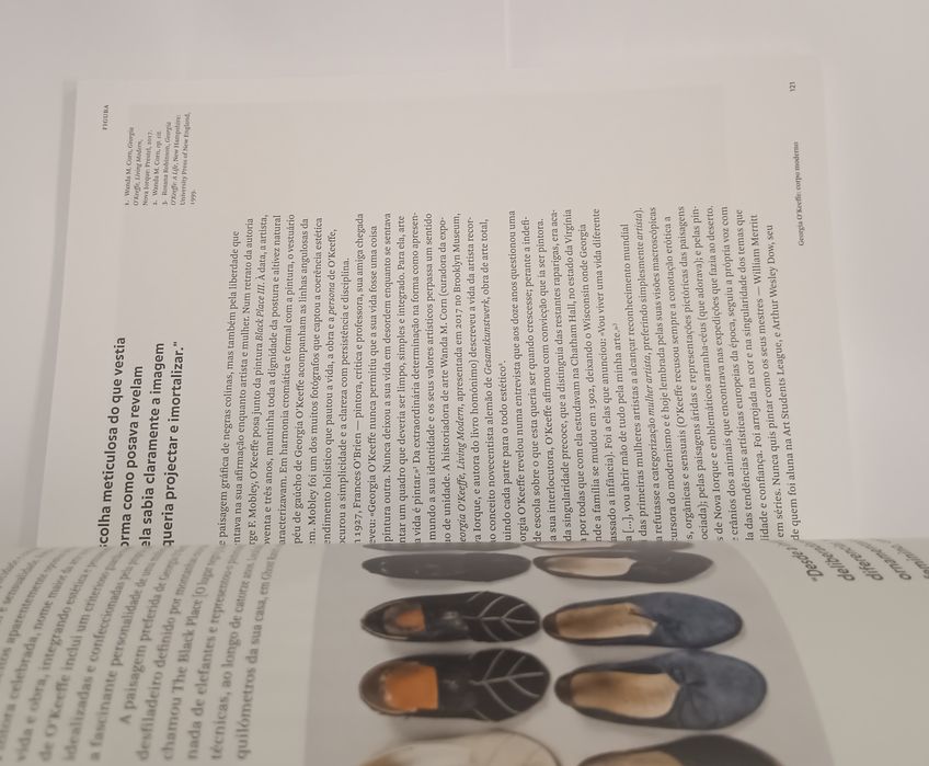 Revista Electra, n° 25