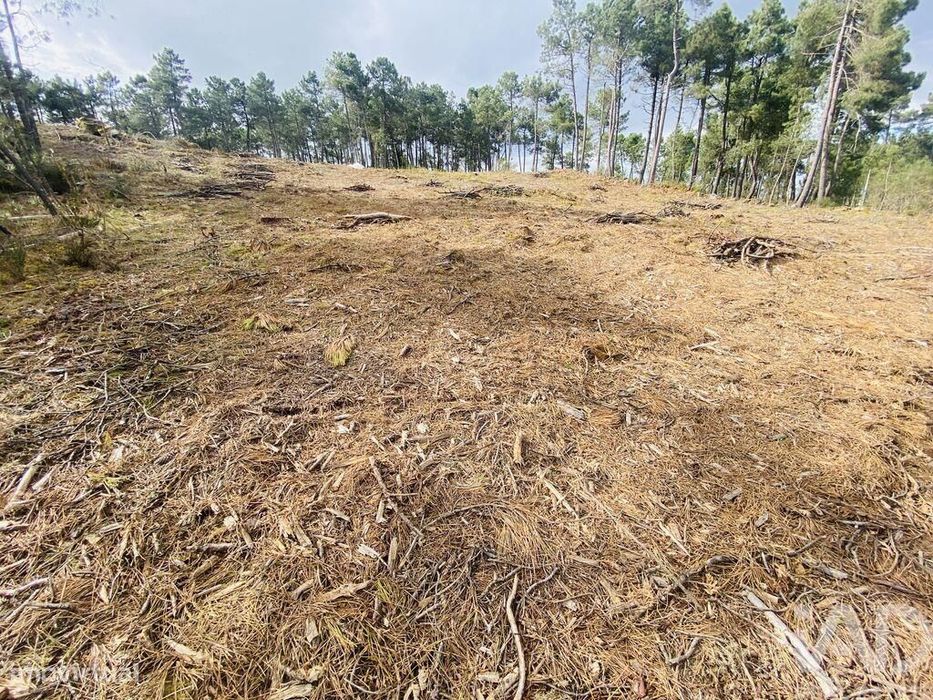 Terreno para construção em Mouçós e Lamares de 3484,00 m2