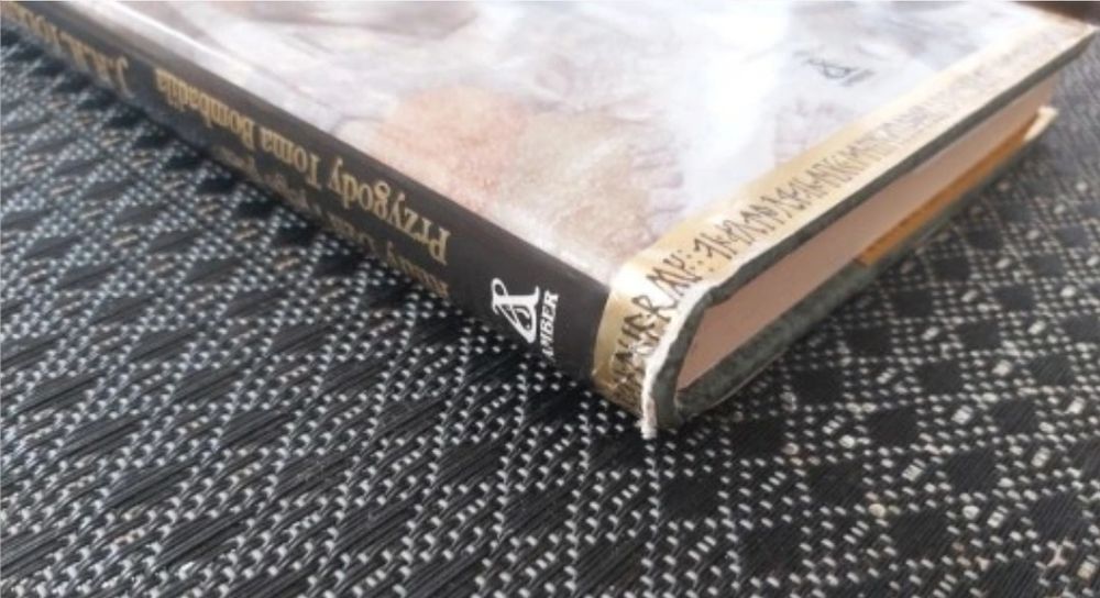 Rudy Dżil i jego pies Przygody Toma Bombadila Tolkien