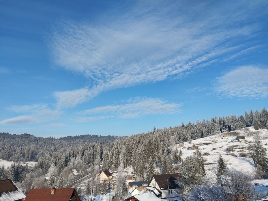 Будинок в Карпатах