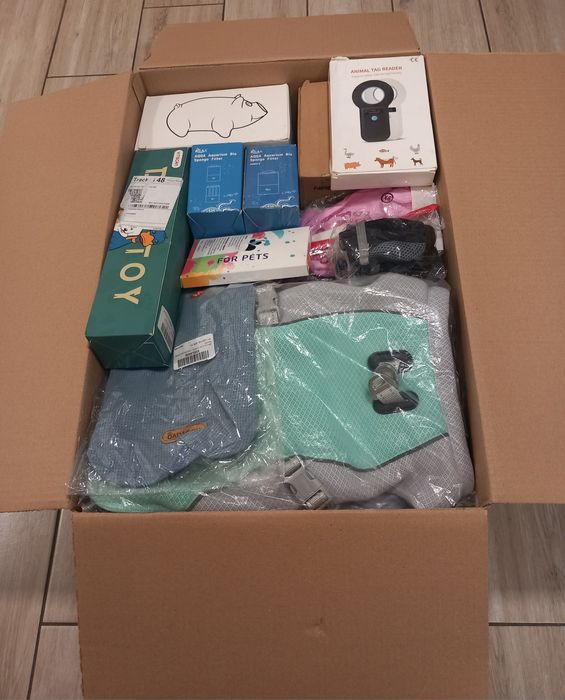 BOX MIX AMAZON Zwierzak 50 sztuk  Kategoria A