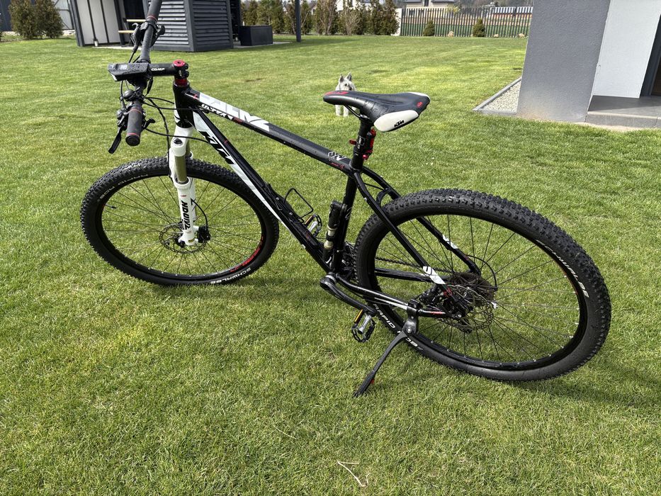 Rower KTM Alloy 3B rama 21” 53cm