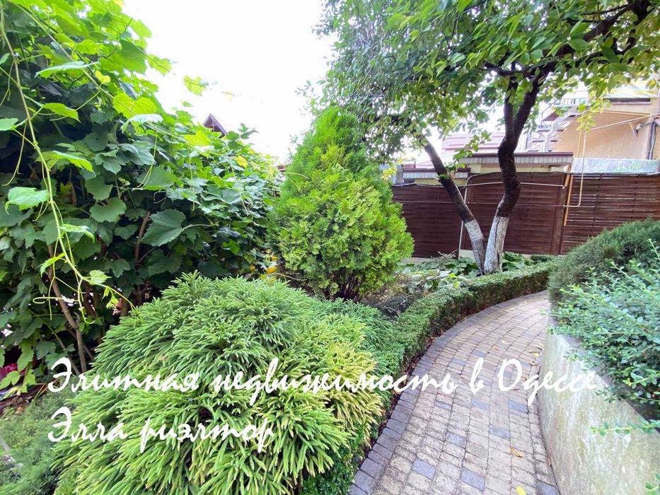 видео! 10 Фонтана, Д. Донского