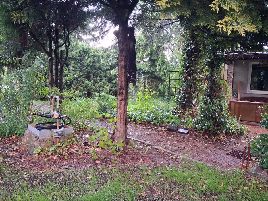 Działka ROD Kościan Relaks 230 m² | Altana murowana, prąd, woda, nawadnianie