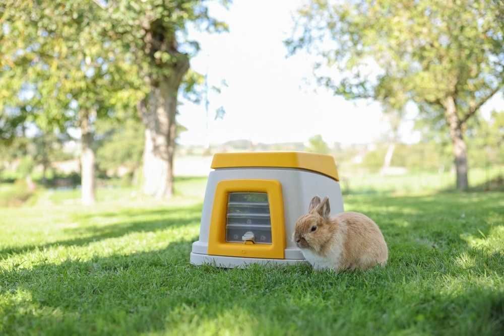 Kerbl Bunny Base podziemna norka dla królików 58x38,5x55 cm