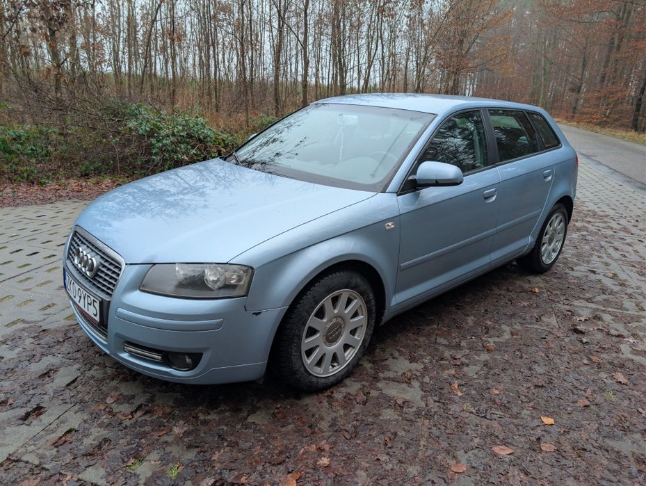 Audi A3 8p sportback 1.9 TDI DSG 2007R