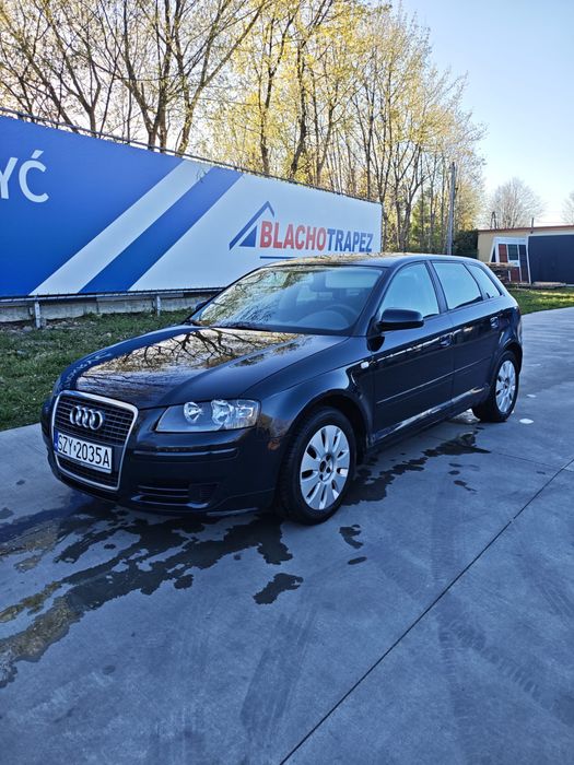 Audi A3 8P, 1.6 benzyna