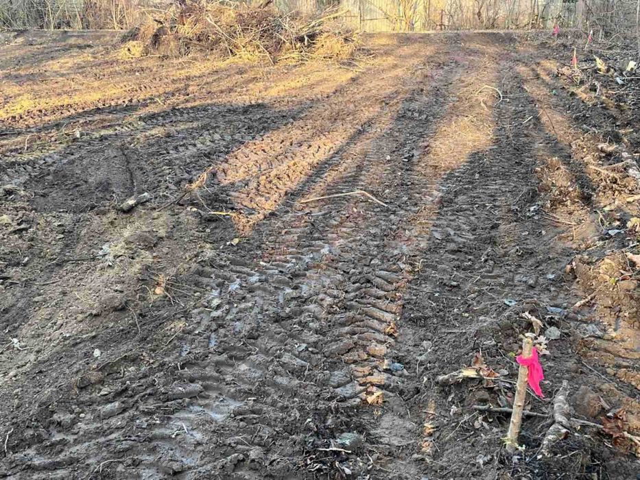 (7) Продаж ділянки під садівництво 12 соток, с. Рибаче (1143)