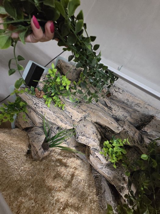 Sprzedam terrarium
