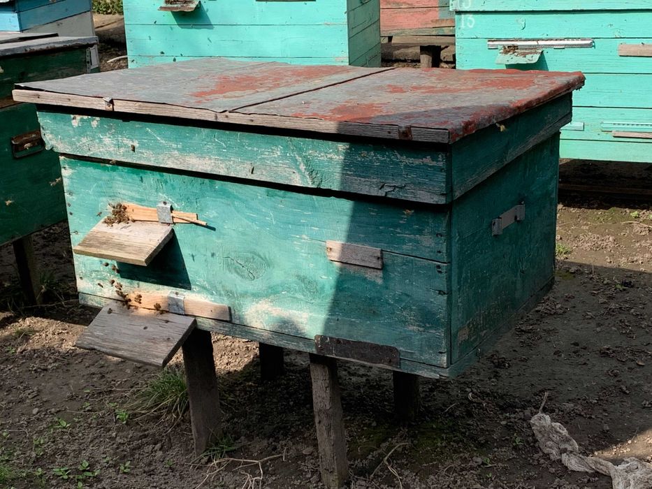 продаю вулики з бджолами