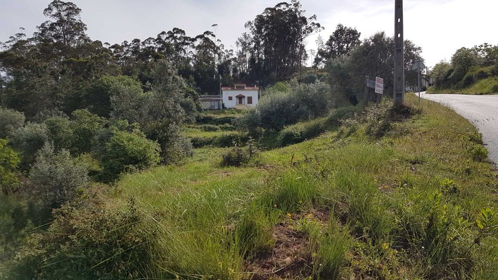Terreno urbano em Montes de Verigo