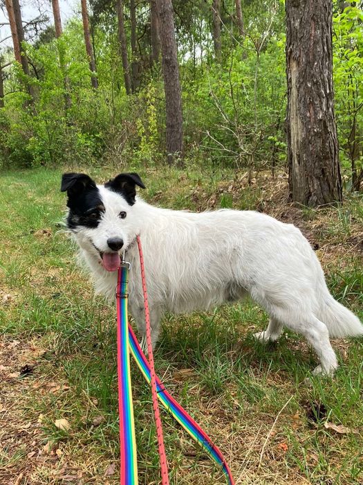 Gero wypatruje kochającej rodzinki