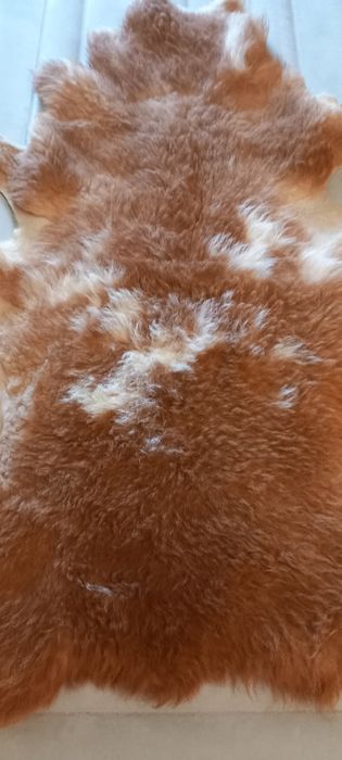 Tapetes  Serra da Estrela