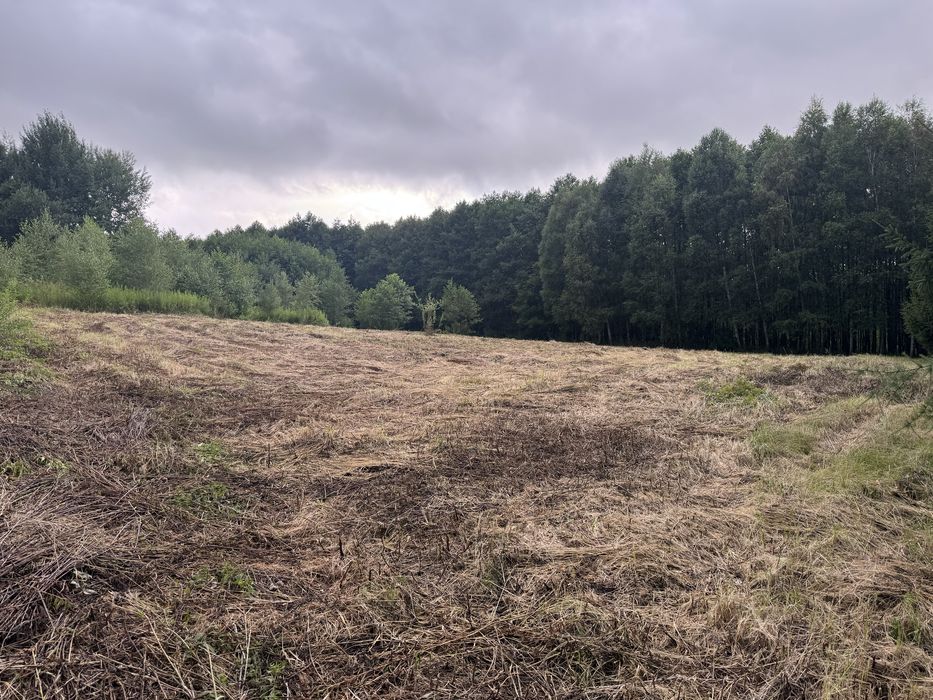 Dzialka Strzyżów Brzeżanka