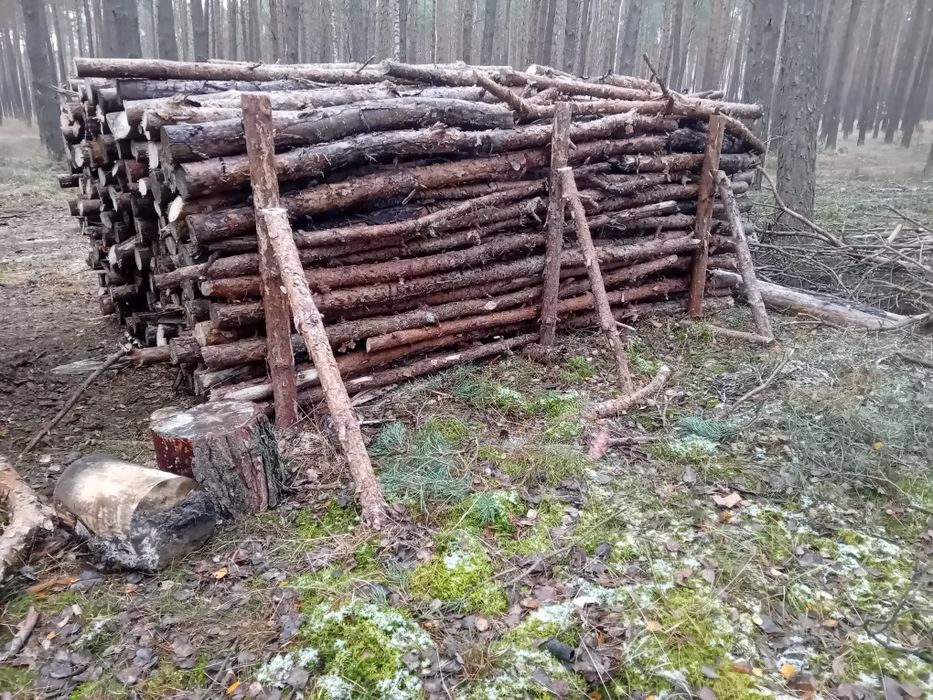 Drewno kominkowe,opałowe