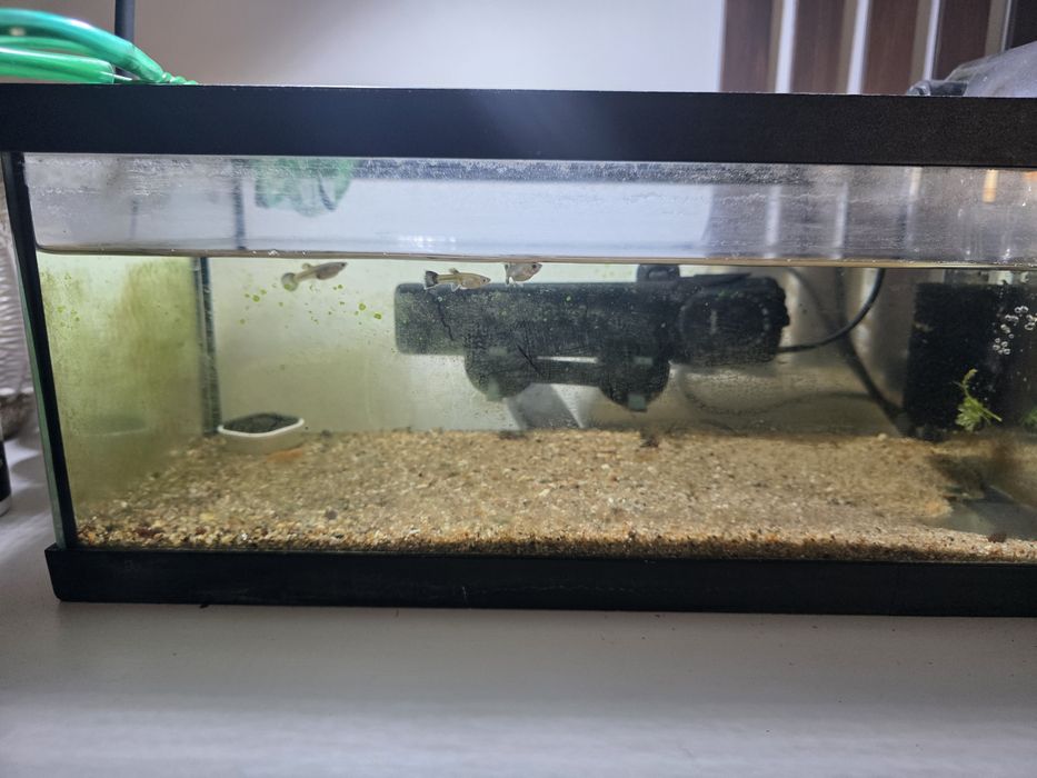 Vendo aquario completo