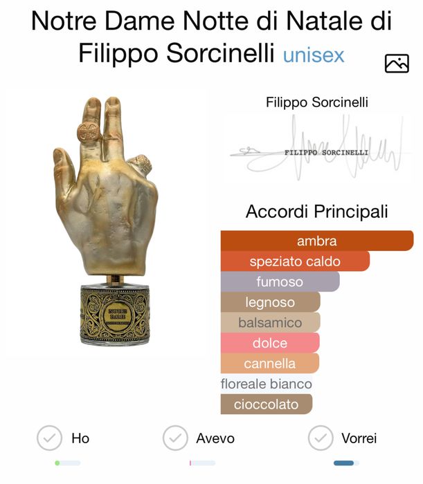 Notre Dame Notte di Natale di Filippo Sorcinelli