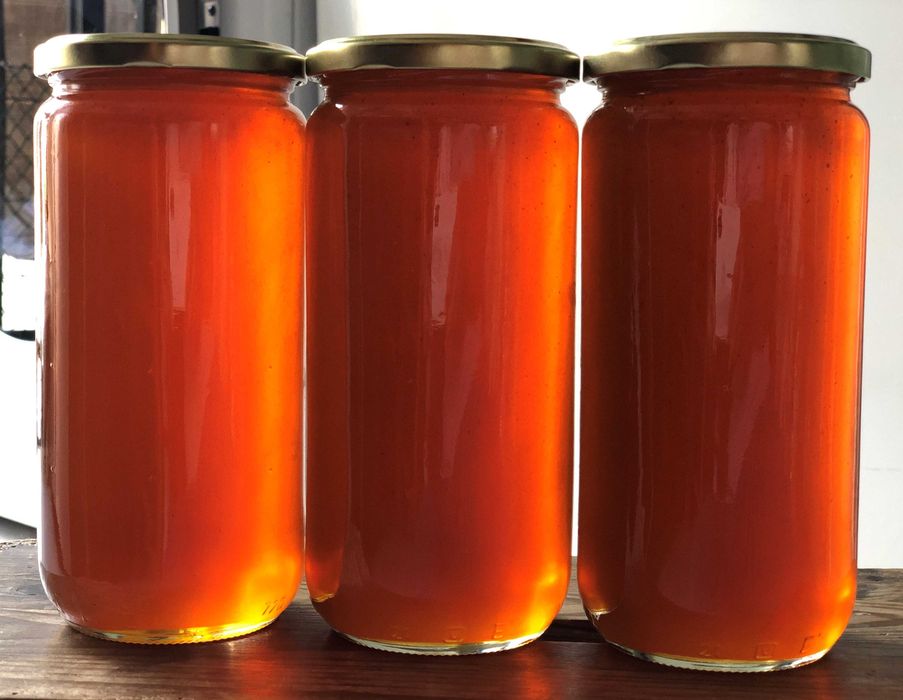 Mel puro multifloral