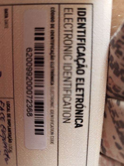 Macho Scottish Straght