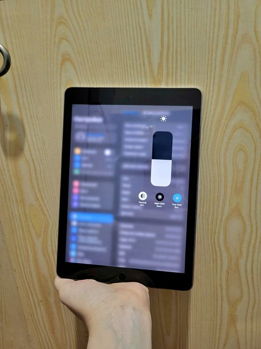 iPad Pro 9.7" 1st генерація 32 ГБ