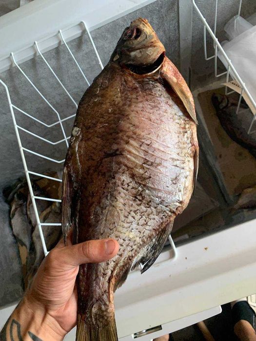 Тарань плотва з ікрою, можливий ОПТ