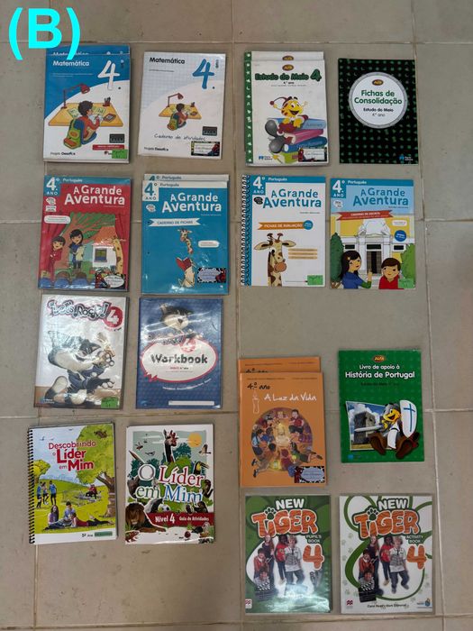 Manuais escolares para o 1, 2 e 3 Ciclo (1º ao 9º ano) - VER VÁRIOS