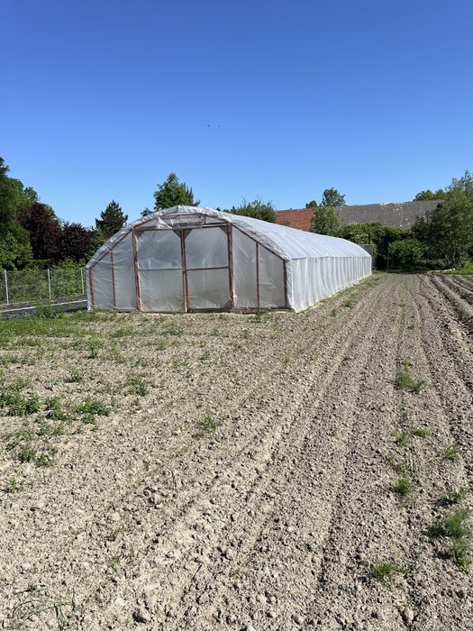Tunel foliowy 7,5m x31,5m folia 10 sezonowa