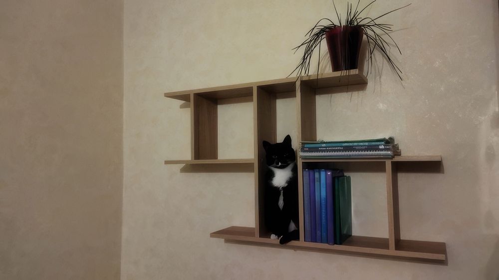 Новая полочка полка навесная полочки Полиця поличка навісна настінна