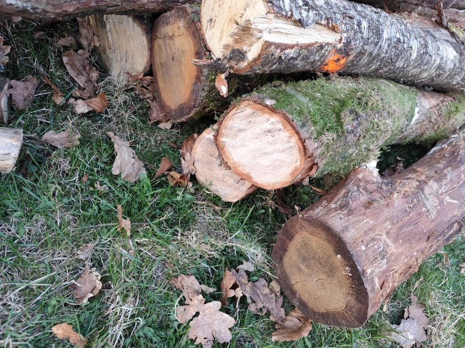 Najtańsze drewno w rejonie. Zapraszam